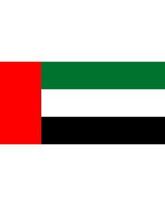 UAE Flag Sticker