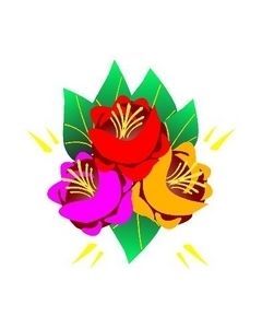 Canal Rose Design 13