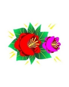 Canal Rose Design 16