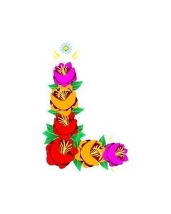 Canal Rose Design 18