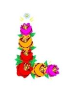 Canal Rose Design 18