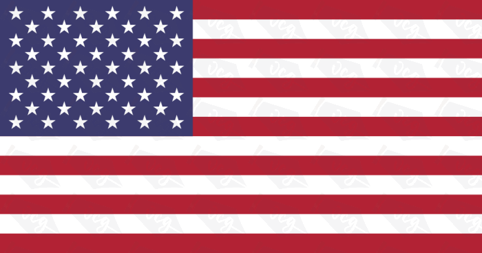 USA Flag Sticker