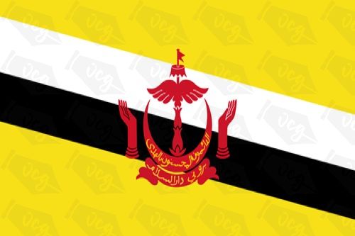 Brunei flag sticker 