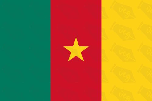 Cameroon flag sticker 