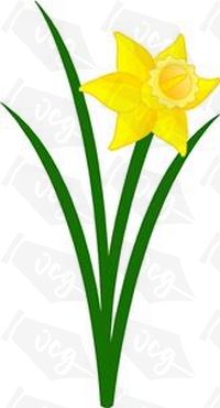 Daffodil Sticker