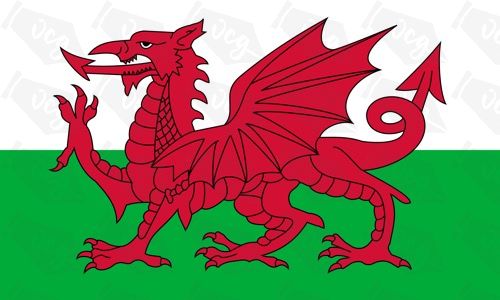 Wales flag sticker 