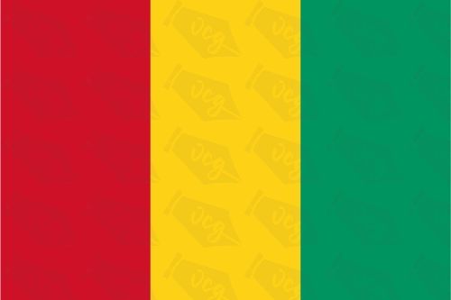 Guniea Flag Sticker