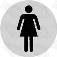 ladies toilet door sticker