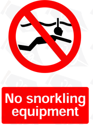 No Snorkling Equipment