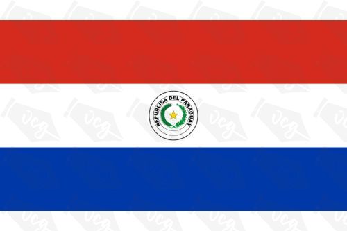 Paraguay Flag Sticker