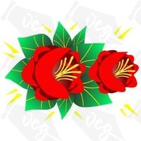 Canal Rose Design 15