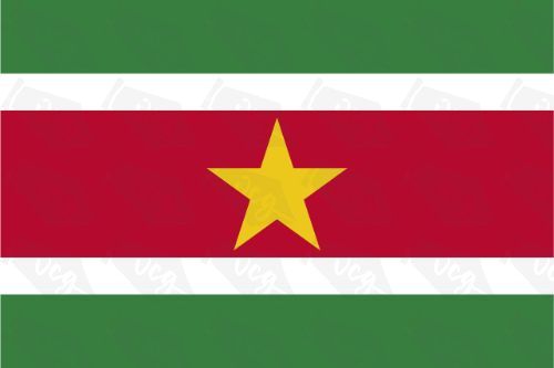 Suriname Flag Sticker