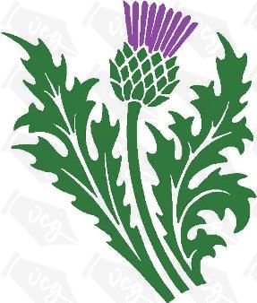 TWO COLOUR scottish THISTLE