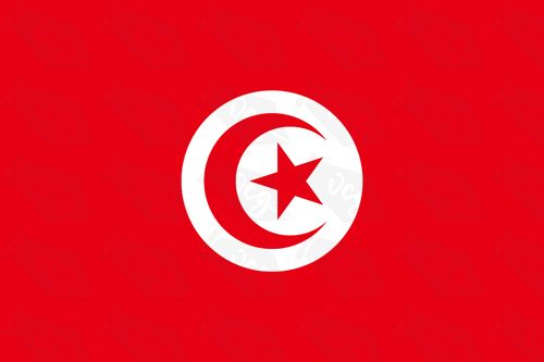 Tunisia flag sticker