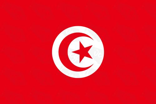 Tunisia flag sticker