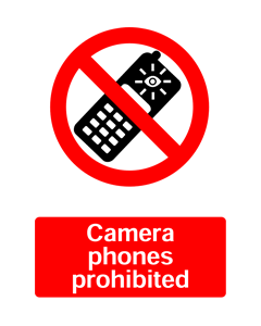 No Ladders