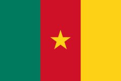 Cameroon flag sticker 