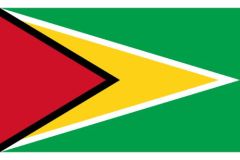 Guyana Flag Sticker
