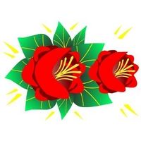 Canal Rose Design 15