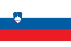 Slovenia Flag Sticker