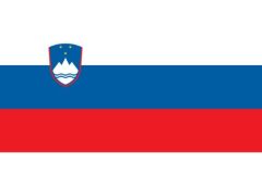 Slovenia Flag Sticker