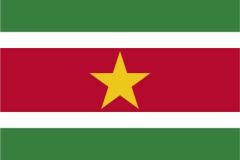 Suriname Flag