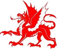 Welsh Dragon Sticker