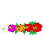 Canal Rose Design 20