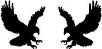 Eagle Sticker (left or right facing)