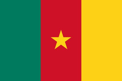 Cameroon flag sticker 