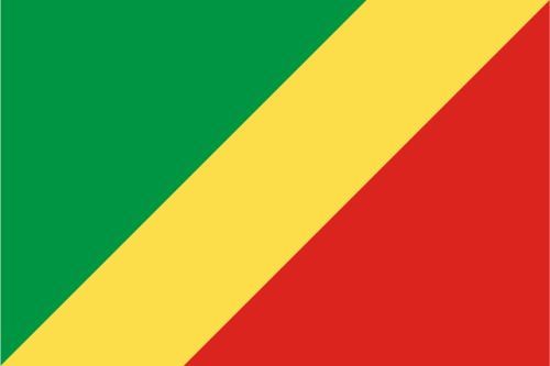 Republic of the Congo Flag Sticker