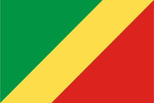 Republic of the Congo Flag Sticker