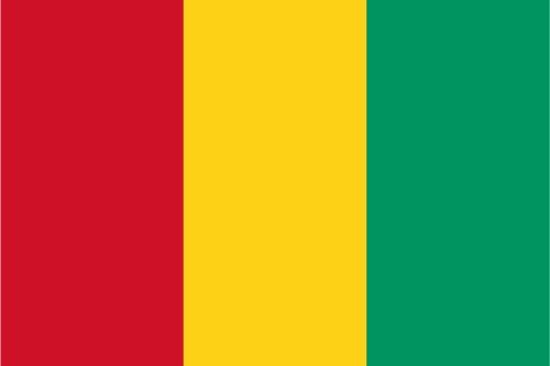 Guniea Flag Sticker