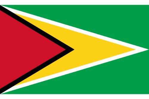 Guyana Flag Sticker