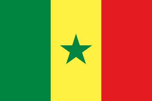 Senegal flag sticker