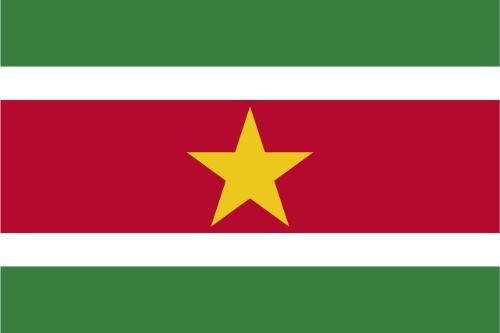 Suriname Flag Sticker