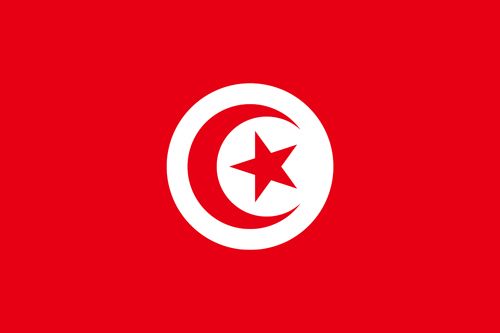 Tunisia flag sticker