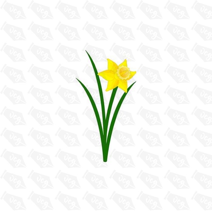 Daffodil Sticker