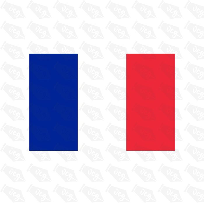 France Flag Sticker